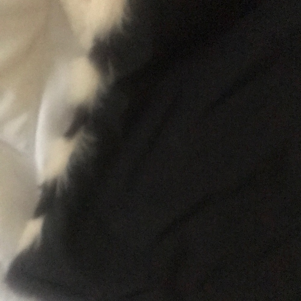 Fur scarf - Picture 3 of 5